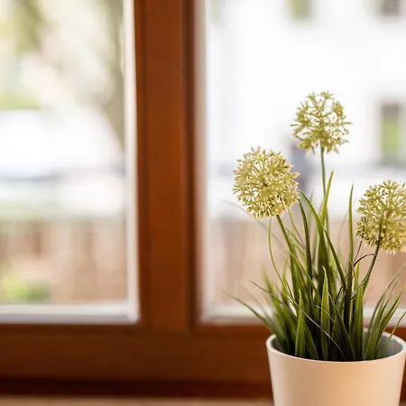 Grosse Altstadtwohnung Im Zentrum, Mit Balkon, Top Lage, 4 Schlafplaetzen Apartmán