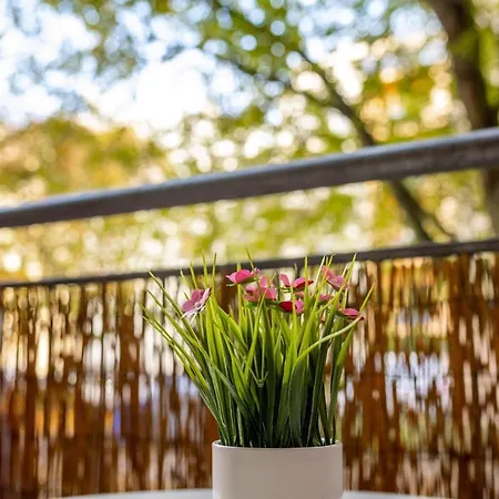 Grosse Altstadtwohnung Im Zentrum, Mit Balkon, Top Lage, 4 Schlafplaetzen Apartment
