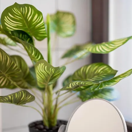 Grosse Altstadtwohnung Im Zentrum, Mit Balkon, Top Lage, 4 Schlafplaetzen Magdeburk