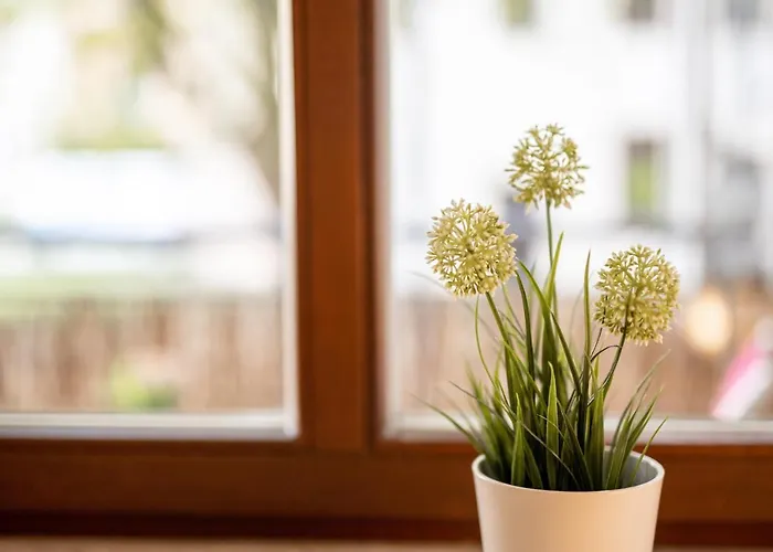 Grosse Altstadtwohnung Im Zentrum, Mit Balkon, Top Lage, 4 Schlafplaetzen Apartamento