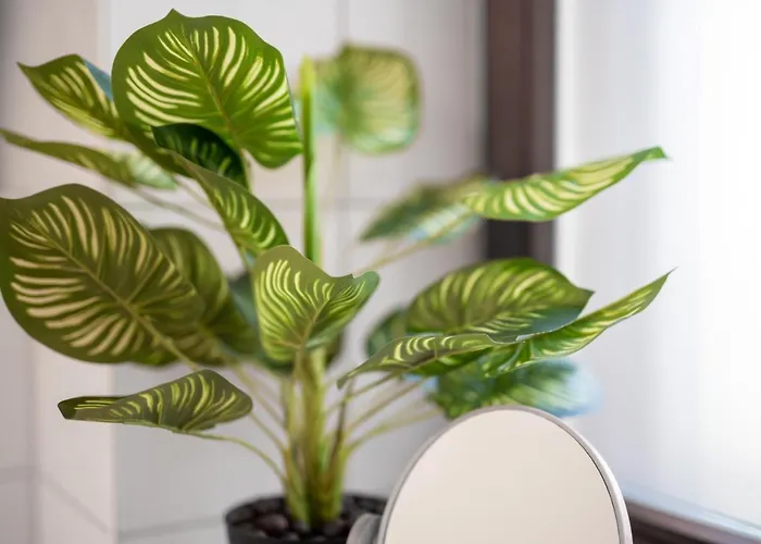 Altstadtwohnung Mit Tollem Balkon In Prima Lage Mit 4 Schlafplätzen Magdeburg